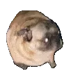 n_hyperpug