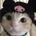 RAG_kenziescat2 Discord Emoji