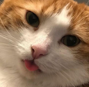 NED Discord emoji