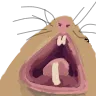 HamAHHHH