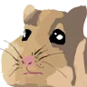 HamStare