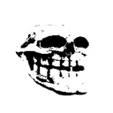sanstroll