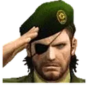 Salute