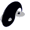 ying_yang
