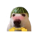 uwudaddy