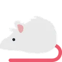rat_white