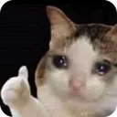 thumbsup_crying_cat