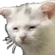 suffering