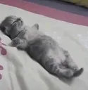 imded imded