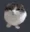 jiggly_cat