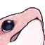 blep
