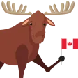canadamoose