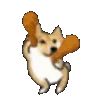 nugger nugger