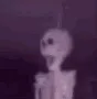 skeletonfan