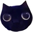 scrimblo