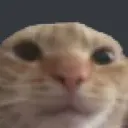 emoji_33