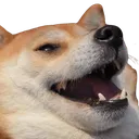 Kek_dog