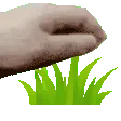 TouchGrass