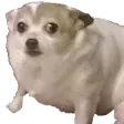 concern