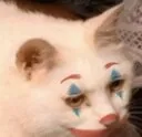 clowncat