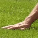 touchinggrass touchinggrass