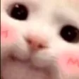 gatouwuq1