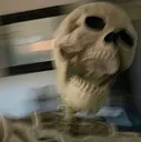 roni_skeleton
