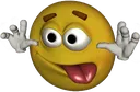 ybsilly