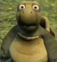 vern