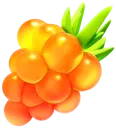 GoldenRazzBerry