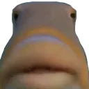 ikankodok ikankodok