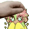 melonpat melonpat