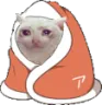 tsukibooli