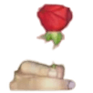 wd_rosa Discord emoji