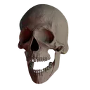 koop