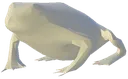 frogboi
