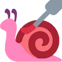 snail_care