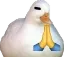 blessedduck