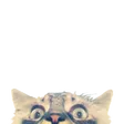 allegraLURK