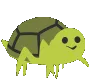 spiderturtle spiderturtle