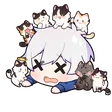 takaggCattos