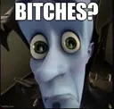 Bitches