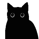 BlackCatbleh BlackCatbleh