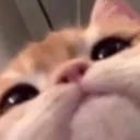 emoji_48