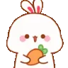 bunnydance bunnydance