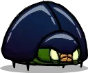 sweetle