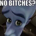 no_bitches Discord Emoji