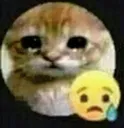 cattriste Discord Emoji
