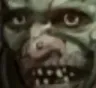 gobbono gobbono