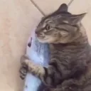 dcl_zzCatHug Discord Emoji